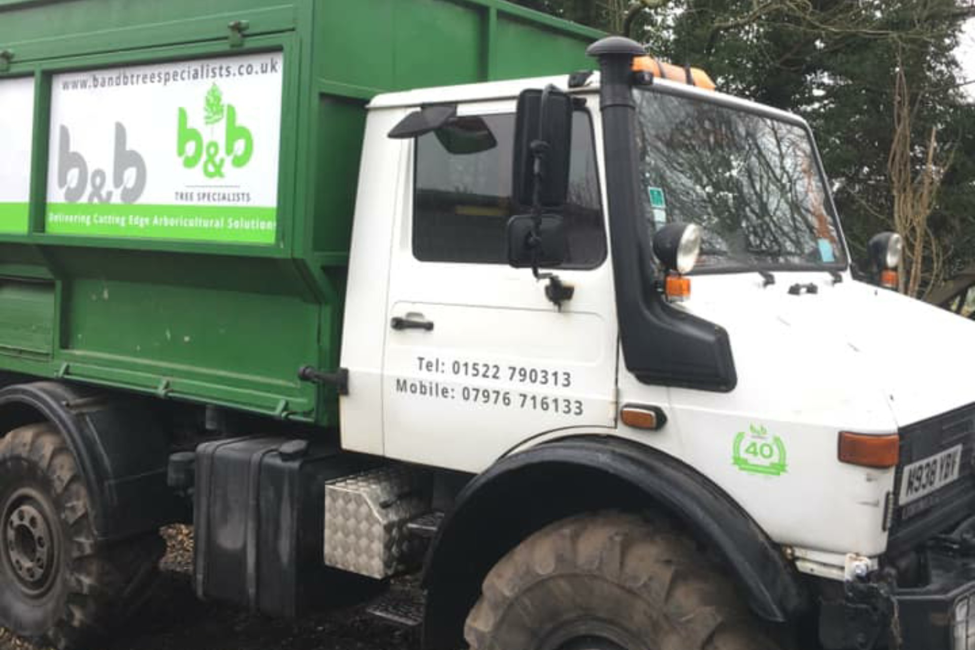 Tree Surgeons Northamptonshire